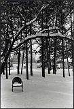 winter-solitude